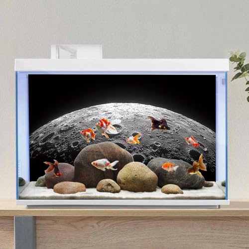 AWERT 24x12 inches Aquarium Background Moon Surface Space Planets Fish Tank Background Polyester Terrarium Background - size: 24x12in/60x30cm