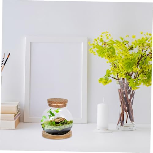 ORFOFE 2Set Hydroponic Glass Vases with Mat Desktop Aquarium for Plant Lovers Small Fish Tank Jars for Indoor Gardening Home Decor and Office Centerpieces