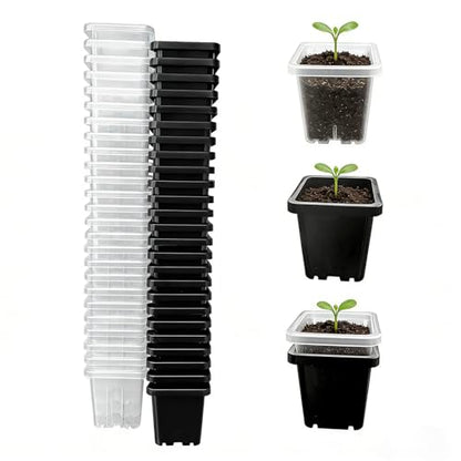 2 Inch Square Nursery Pots, 50 Pack (25 Clear + 25 Black) Seedling Starter Pots, Plastic Plant Pots with Drainage Holes, for Seed Germination, Root View, and Light Blocking - color: Clear + Black (50pcs)