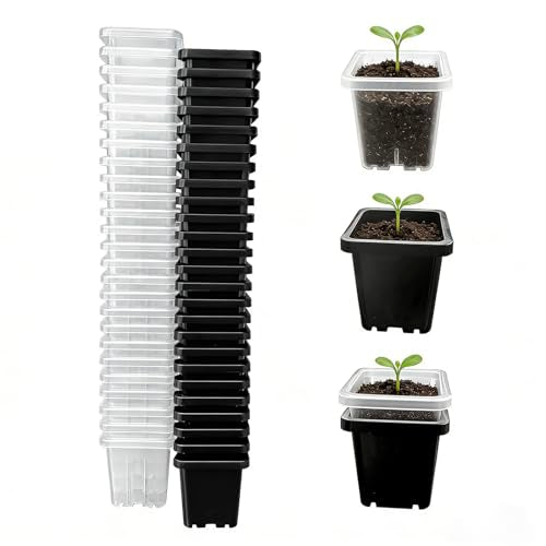 2 Inch Square Nursery Pots, 50 Pack (25 Clear + 25 Black) Seedling Starter Pots, Plastic Plant Pots with Drainage Holes, for Seed Germination, Root View, and Light Blocking - color: Clear + Black (50pcs)