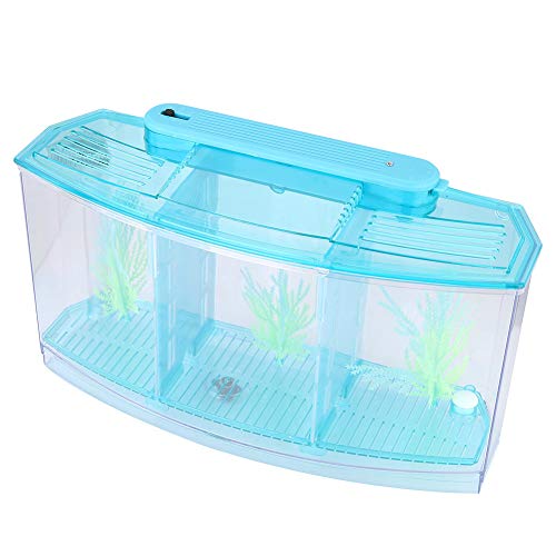 Small Fish Isolation Fish Tank, LED Acrylic Aquarium Fish Tank, Transparent Fish Isolation Box with 2 Isolation Plates for Small Fishes Betta Shrimp Guppy (Blue)