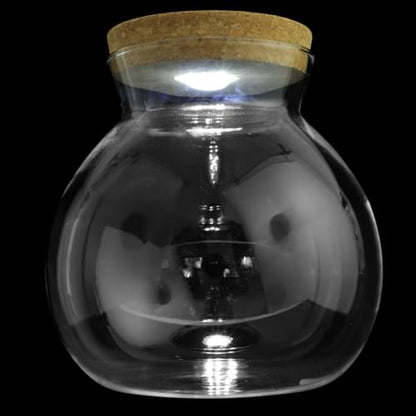Led Light Bottle 6.29X5.90X5.90 Inch Glass Micro Aquarium Fish Tank DIY Micro Landscape for Home Office Decoration