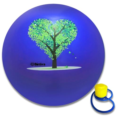 bintiva Exercise Ball - color: Stabilizing Sand - Blue, size: M (58-65cm)