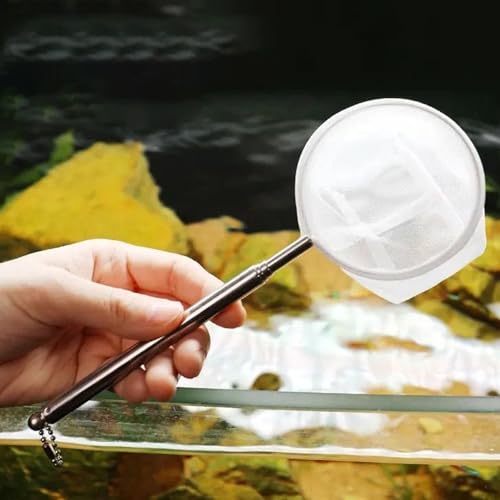 1 Pc Fish Net for Aquarium, Fine PP Mesh, Telescopic Extendable Handle, Safe for Coral & Tank Use - color: 1 PC Round