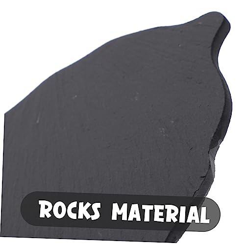 Basking Rock Decor for Aquarium Turtle Supplies Multi-Functional Turtle Platform for Basking and Resting
