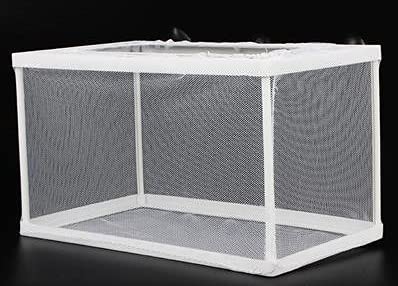 Fish Nursery for Aquarium-Fish，Aquarium Fish Breeder Box, Hatching Box, Juvenile Fish Spawning Incubator, Water Isolation Net Hatchery、Fish Isolation Box (Rectangle-no partition) - color: rectangle-no partition