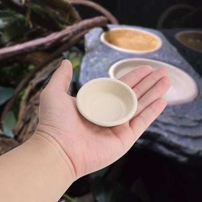 100 Pcs Large Gecko Food Cups - 1oz Disposable Biodegradable Plant Fiber Feeding Bowls, Terrarium Accessories for Crested Gecko, Lizards & Reptile Pets