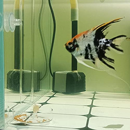 1PCS 200MM Aquarium Feeding Tube Fish Feeder Tube Clear Glass Shrimp Feeder with Glass Dish for Fish Tank Aquarium