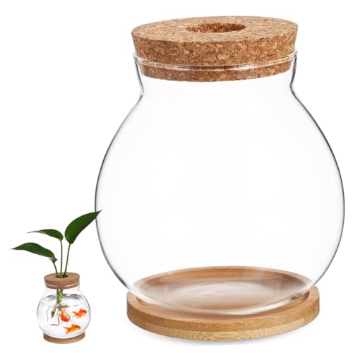 Toddmomy Transparent Glass Fish Tank with Lid for Betta Fish Compact Hydroponic Mini Aquarium for Desktop Office Decor with Mat View Design
