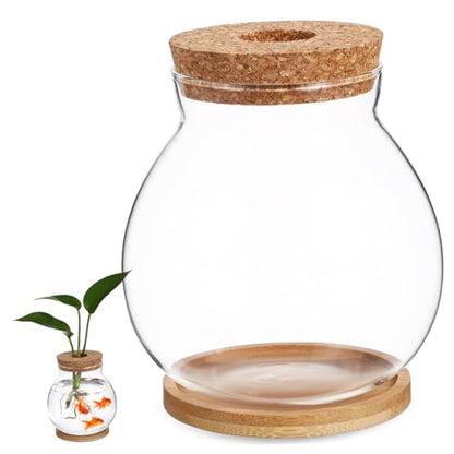 Toddmomy Transparent Glass Fish Tank with Lid for Betta Fish Compact Hydroponic Mini Aquarium for Desktop Office Decor with Mat View Design