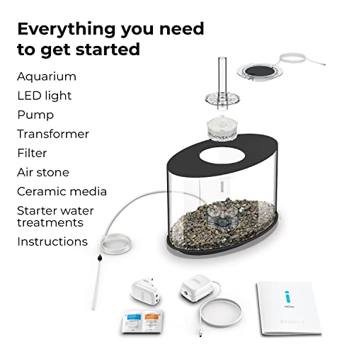 biOrb Loop 15 Acrylic 4-Gallon Aquarium with White LED Lights Modern Compact Tank for Tabletop or Desktop Display, Black-Trimmed Tank