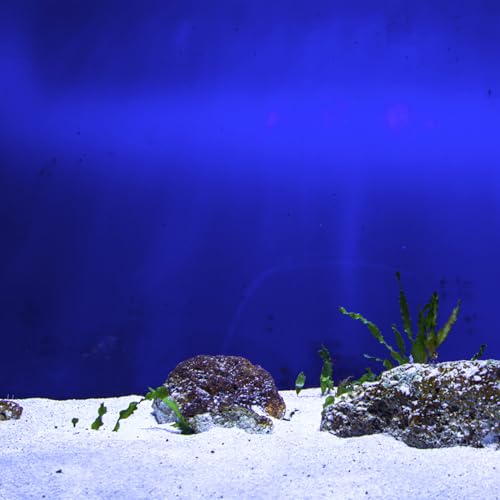 BETOOKY Aquarium Background Sticker PVC Self-Adhesive Fish Tank Backdrop Roll 45cm X 10m Blue Underwater Scenery Decoration for DIY Aquarium Accessories