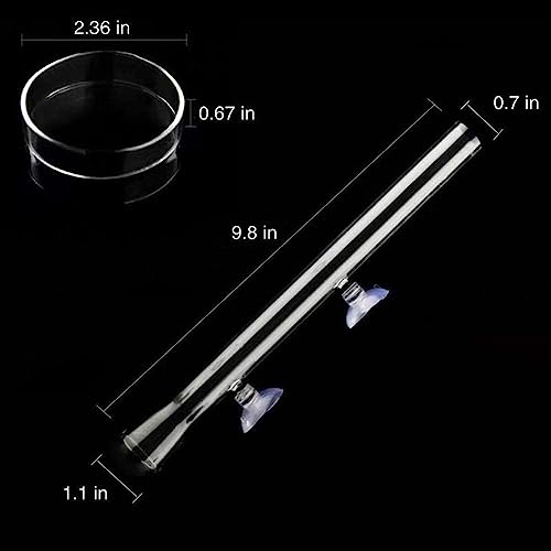 2in1 Shrimp Feeding Tube and Dish, Clear Crystal Glass Shrimp Feeder Tube Tray for Fish Tank Aquarium Shrimp (10in Feeding Tube + 60mm Dish)