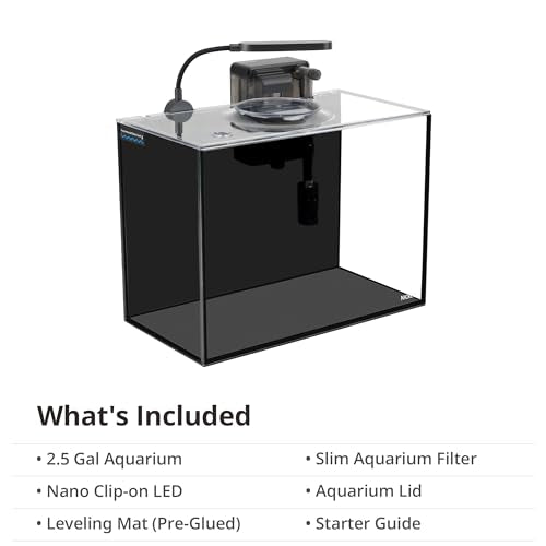 NICREW 2.5 Gallon Nano Nature Aquarium Kit, Ultra-Clear Rimless Desktop Fish Tank with Light and Filter, Perfect for Small Fish, Shrimp, or Betta, Basic Version, Black