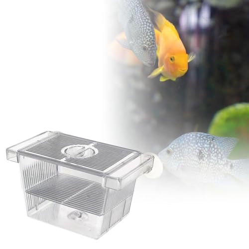 Fish Breeding Isolated Box Float Hatching Separation Acrylic Hatching Box Fish Tank Hatchery for Clownfish Guppy, S