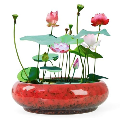 ARTKETTY Lotus Bowl Planter - 7.3 Inch Large Lotus Flower Bowl for Water Plants, Ceramic Hydroponic Planter Water Lily Bowl for Planting Aquatic and Indoor Succulent Plants and Bonsai - color: Red