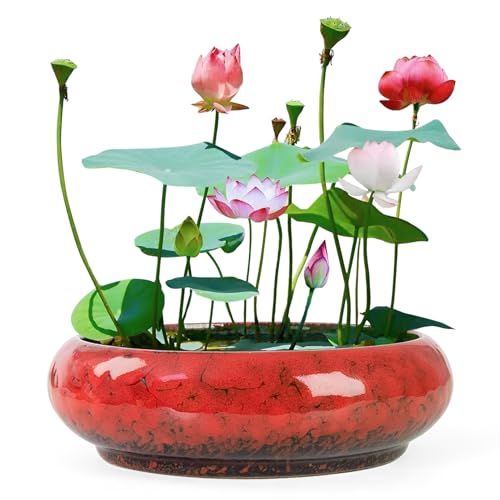 ARTKETTY Lotus Bowl Planter - 7.3 Inch Large Lotus Flower Bowl for Water Plants, Ceramic Hydroponic Planter Water Lily Bowl for Planting Aquatic and Indoor Succulent Plants and Bonsai - color: Red
