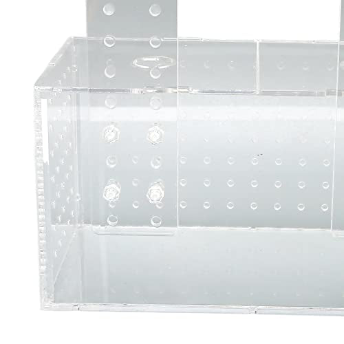Transparent Fish Breeding Isolation Box with Lid for Aquarium 23x11x12cm Easy Hook Installation Hatchery for Small Fish (20 * 10 * 11CM)