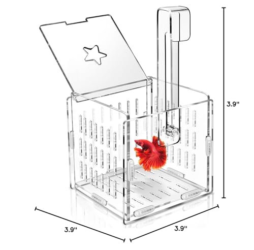 Breeder Box for Fish Tank, Fish Breeder Box for Aquarium, Acrylic Fish Isolation Box, Fish Separator for Small Baby Fishes, Bully Fish, Shrimp, Clownfish Guppy (NOT for Incubator)