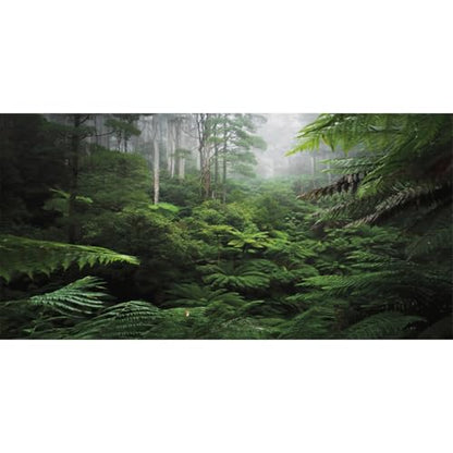AWERT Foggy Forest Terrarium Background Green Tree Reptile Habitat Background Tropical Rainforest Aquarium Background 30x12 inches