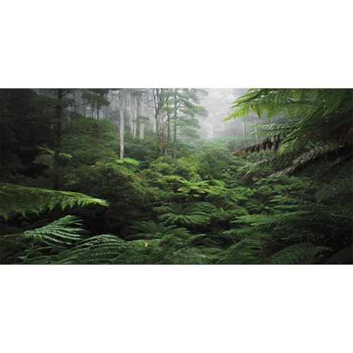 AWERT Foggy Forest Terrarium Background Green Tree Reptile Habitat Background Tropical Rainforest Aquarium Background 36x18 inches Polyester Background