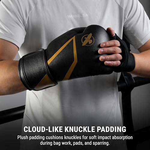 Hayabusa E1 Boxing Gloves for Men and Women - color: Black/Gold, size: 10oz