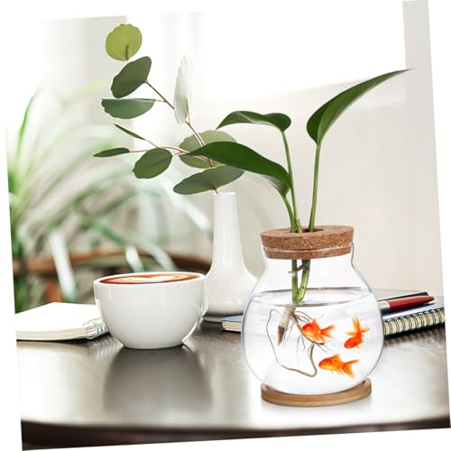 Toddmomy Transparent Glass Fish Tank with Lid for Betta Fish Compact Hydroponic Mini Aquarium for Desktop Office Decor with Mat View Design