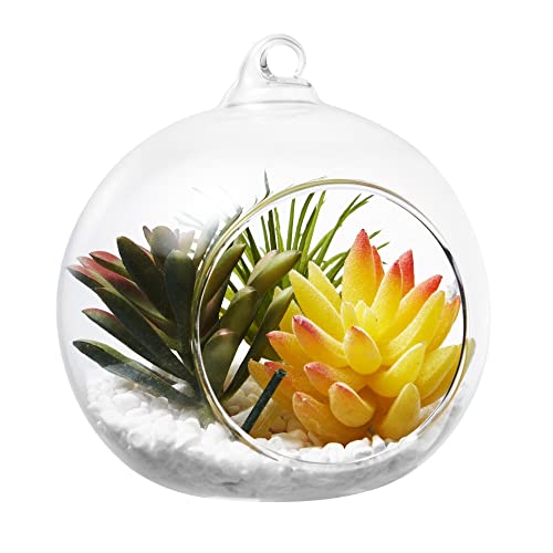 Hanging Glass Candle Holder, Globe Glass Tea Light Holder, Hanging Glass Vase, Flower Plants Terrarium, Glass Orbs Container, Micro Landscape DIY for Home, Office, Wedding (2.36" 24Pcs) - color: 2.36"24pcs