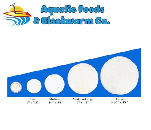 Calcium Enriched Sinking Food Disks for Shrimp, Snails, Crabs, Crayfish, Hermit Crabs, Plecos, Catfish, Bottom Fish, All Tropical Fish. 25 Small & 25 Medium Discs Jar