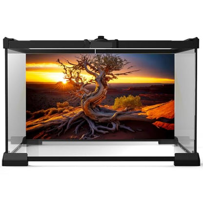 Desert Reptile Habitat Background Dead Tree Sunset Desert Terrarium Background Spectacular Sunset Desert Dead Tree Terrarium Backdrop Tranquil Desert Nature Landscape Aquarium Backdrop 24x12in - color: Root Gold, size: 24(W)x12(H)inches/ 60(W)*30cm(H)