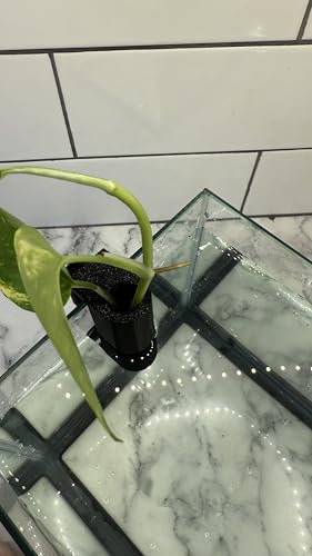 Aquarium Plant Holder for Standard Rimless Fish Tanks The Mini Tube 3D Printed - Pothos Holder - Stemmed Plant Holder -Aquascaping & Aquarium Tool Holder