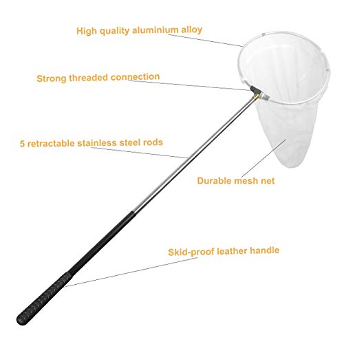 Insect and Butterfly Net with 12" Ring, Net Handle Extends to 59 Inches for Adults & Kids