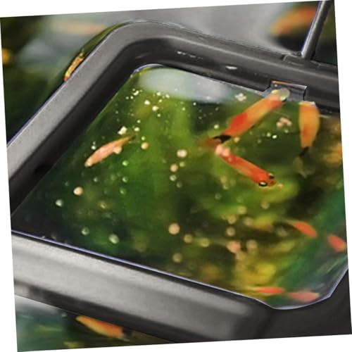 Abaodam 2pcs Aquarium Feeding Rings Floating Fish Feeder with Suction Cups for Small Tanks, Black and Square Shapes, Prevent Food Dispersion for Guppy Goldfish and Betta