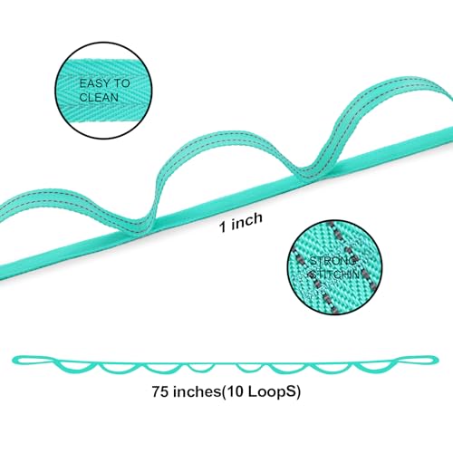 A AZURELIFE Premium Durable Stretch Straps with Loops, Stretching Strap for Physical Therapy, Multi-Loop Yoga Strap Fitness Exercise Strap for Yoga, Pilates, Dance, Flexibility&Exercise - color: #1-Green