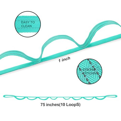 A AZURELIFE Premium Durable Stretch Straps with Loops, Stretching Strap for Physical Therapy, Multi-Loop Yoga Strap Fitness Exercise Strap for Yoga, Pilates, Dance, Flexibility&Exercise - color: #1-Green