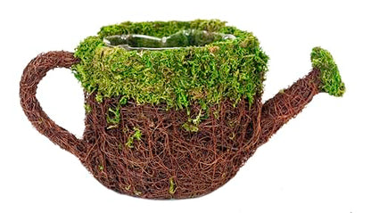 SuperMoss (55259) 5" Deco Watering Can Planter Basket, Small - size: Small