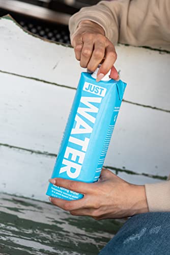 JUST Water - 100% Spring Water, Naturally Alkaline, 8.0 pH - Plant-Based, BPA Free, Sustainable and Fully Recyclable Boxed Water Bottle - Eco-Friendly - 1L / 33.8 Fl Oz (Pack of 6) - size: 33.8 Fl Oz (Pack of 6)
