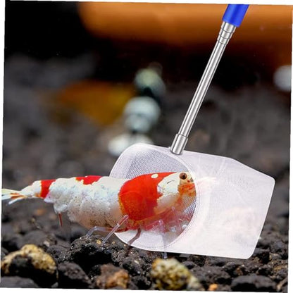 Toyvian 2pcs Mini Telescopic Shrimp Net and Fish Tank Catcher Net with Extendable Stainless Steel Handle Lightweight Mesh for Small Aquariums and Betta Fish Maintenance