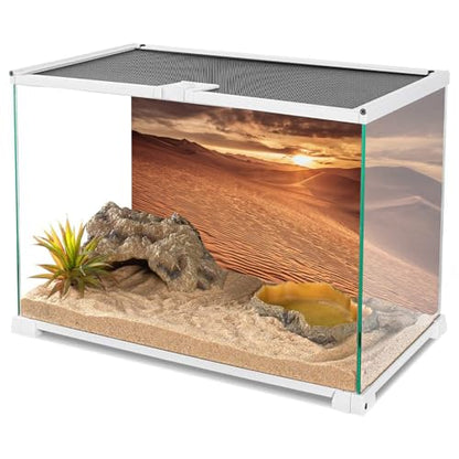 AWERT 72x24 inches Sun and Desert Terrarium Background Blue Sky Orange Sand Reptile Habitat Background Vinyl - size: 72x24in/180x60cm