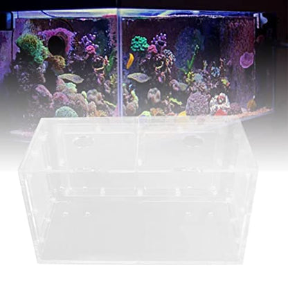 Fish Breeding Box, Acrylic Aquarium Acclimation Hatchery Incubator , Adjuatable Hook Fixing Fish Isolation Box with Lid and Mesh for Baby Fishes, Shrimp, Clownfish, Guppy