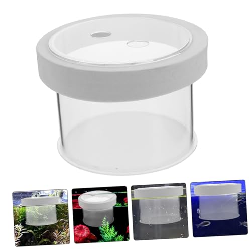 Acrylic Fish Breeding Box Mesh Bottom for Aquatic Nursery Medium Isolation Container for Fry and Shrimp Easy Aquarium Use