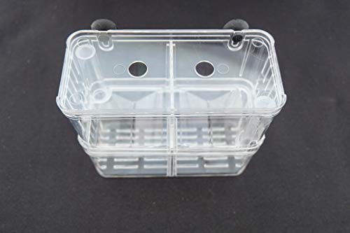 Aquarium Fish Breeder Box for Hatchery, Isolator, Injured Fish, Shrimp Clownfish (BX-005) - size: BX-005