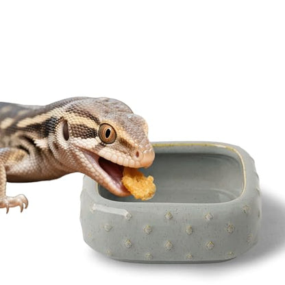 2 Pcs Ceramic Reptile Food Bowl, Mini Reptile Feeder, Anti Escape Feeder for Lizard, Anoles, Chameleon, Bearded Dragon, Gecko, Square (Farmhouse Grey) - color: Farmhouse Grey