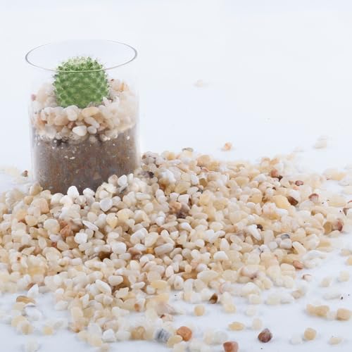 2.4lb Aquarium Gravel for Plants, 1/5Inch Outdoor Decorative River Rocks for Succulents and Cactus Landscaping, Garden Plant Rocks Natural Small Rocks Pea Gravel for Fish Tank Vases Terrarium - size: 2.4 LB