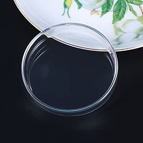 BESPORTBLE 1pc Transparent Glass Shrimp Feeding Bowl Glass Round Dish for Fish and Reptiles Design Aquarium Ornamental Supply