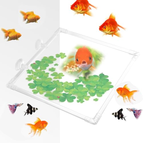 Clear Acrylic Aquariums Fish Feeding Rings with Easy Installation Suction Cup Prevents Food Drift and Waste 23x23CM