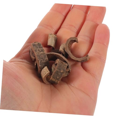 Natural Pecan Wood Bark Sheets 100g for DIY Terrarium Background, Reptile Habitat Decor, Fish Tank and Snake Enclosure Backdrop