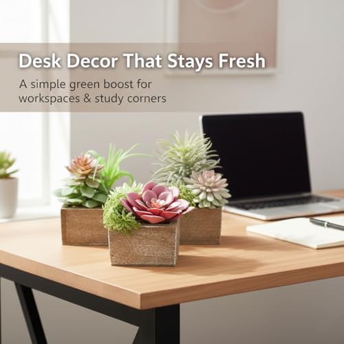 Succulent Plants Artificial, 3 Pack Small Fake Plants in Wood Pot for Home Decor, Farmhouse Artificial Plants Indoor for Living Room Bathroom Bedroom Office Kitchen Desk Wedding Coffee Table Decor