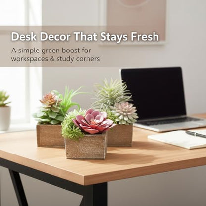 Succulent Plants Artificial, 3 Pack Small Fake Plants in Wood Pot for Home Decor, Farmhouse Artificial Plants Indoor for Living Room Bathroom Bedroom Office Kitchen Desk Wedding Coffee Table Decor