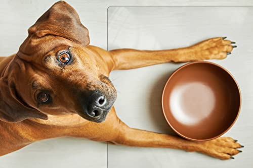 Clear Pet Bowl Mat, USA Made, Safe, Waterproof, 18 x 24 Inch, 2mm Thick Smooth Vinyl, Floor Protection, Dog Cage Mat, Under Aquarium Mat